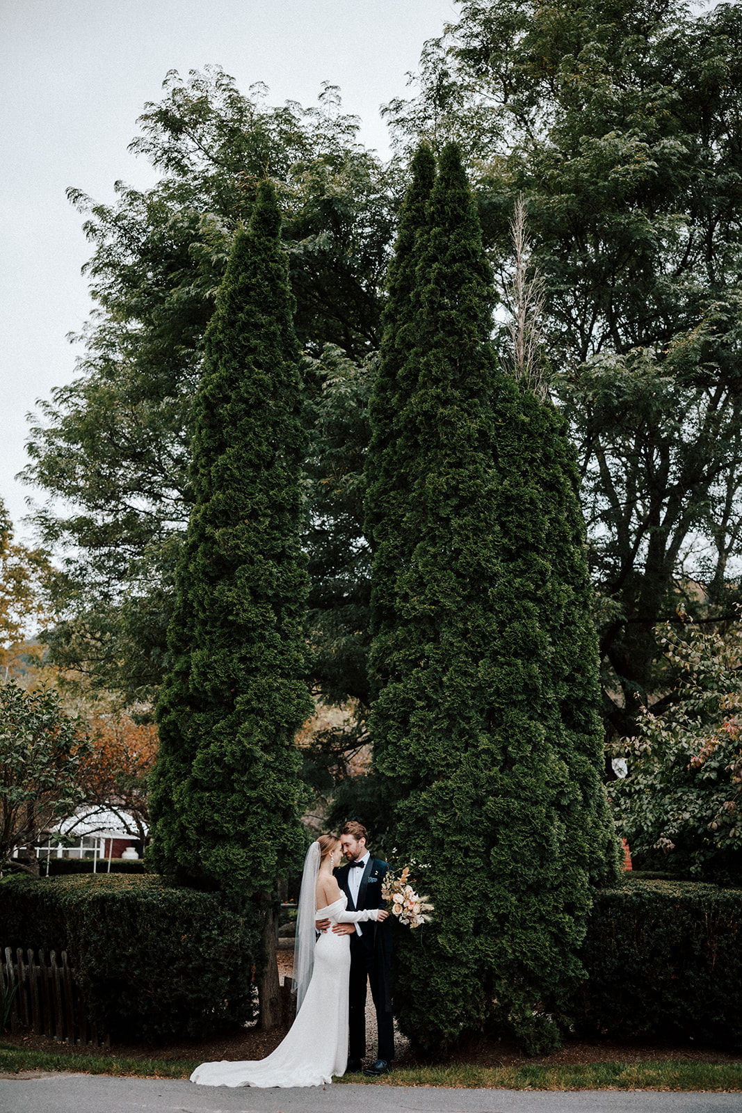 bride and groom standing head to head in front of tall pine trees